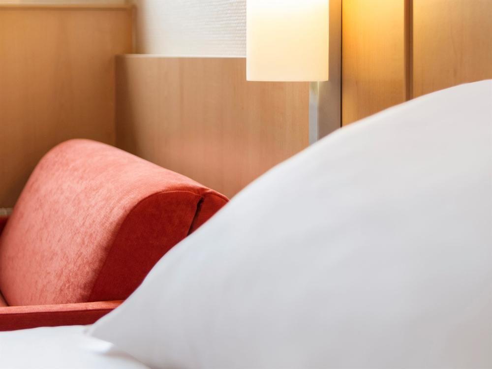 Ibis Gerland Merieux Lyon